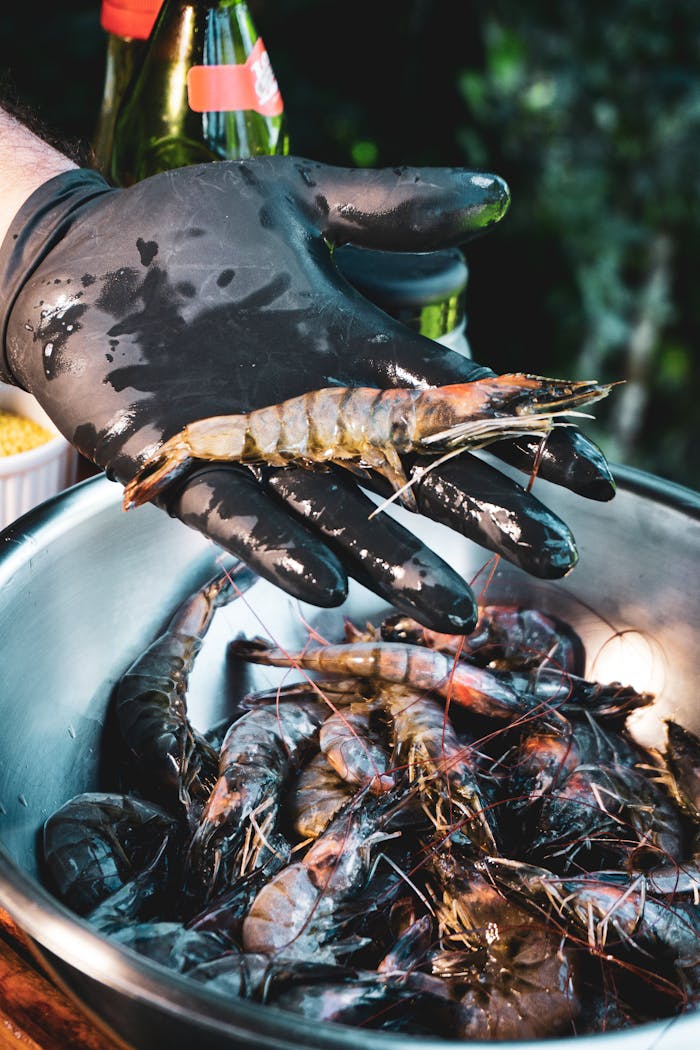 gallery-3 Fresh raw prawns in black gloved hand, captured at Recife market. Ideal for seafood enthusiasts.