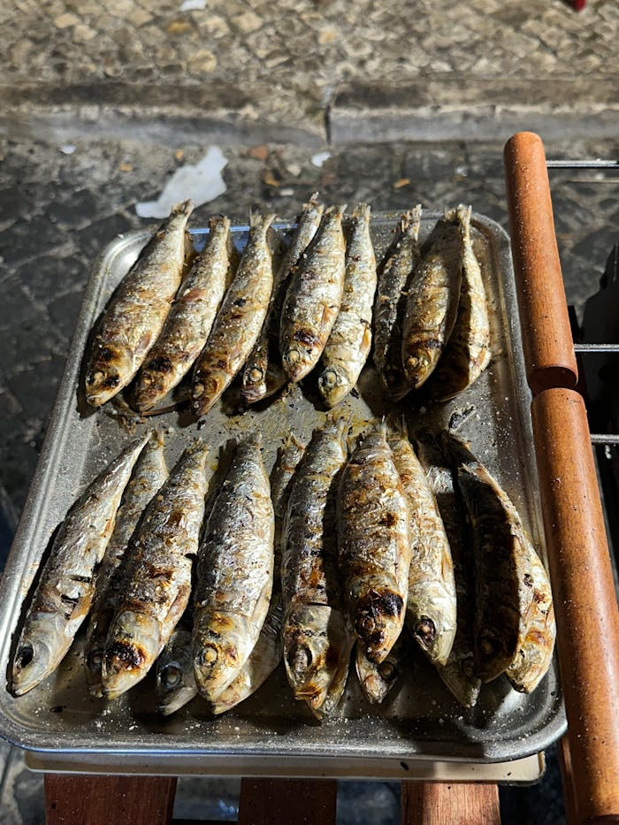 services-04 A mouthwatering display of freshly grilled sardines, capturing Lisbon's street food charm.